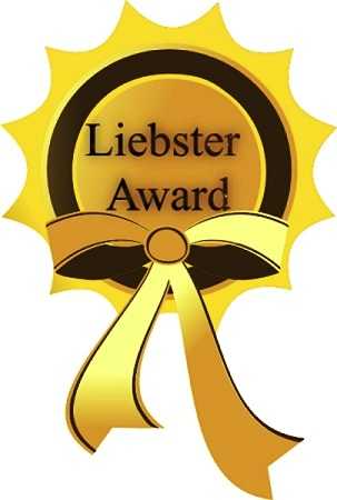 Liebster Blog Awards (4)