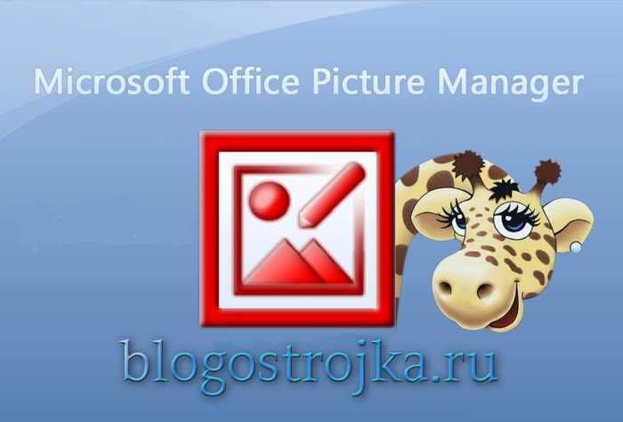 Майкрософт пикчер. Microsoft Office picture Manager. Диспетчер рисунков Microsoft Office. Microsoft Office picture Manager 2010. Диспетчер рисунков Microsoft Office 2010.
